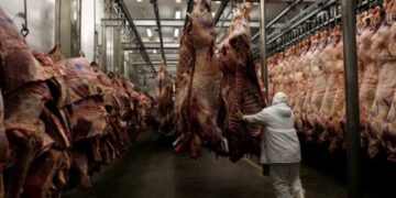 Volvió a reducirse la faena de hacienda vacuna