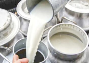 El precio del litro de leche se dispara en Córdoba y Sucre