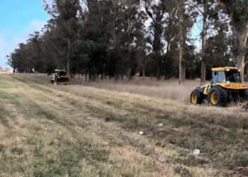 Permitirán hacer fardos con pasturas de las rutas, una medida que beneficiará a productores de San José