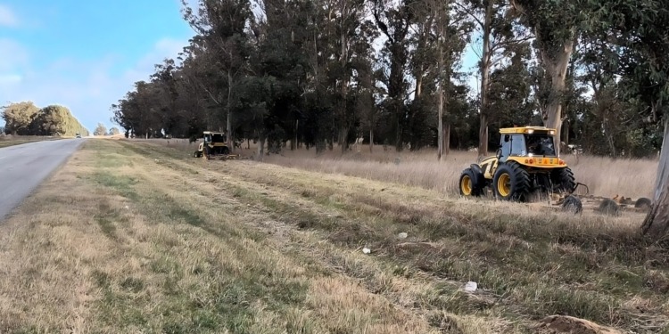 Permitirán hacer fardos con pasturas de las rutas, una medida que beneficiará a productores de San José