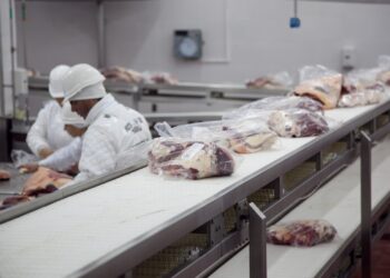 Carne en alza, consumo firme y riesgos latentes: la mirada de Sergio Pedace sobre el presente del mercado cárnico argentino