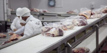 Carne en alza, consumo firme y riesgos latentes: la mirada de Sergio Pedace sobre el presente del mercado cárnico argentino