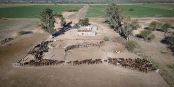 Inmobiliario Rural y exenciones: las novedades que trae la Ley Tributaria para el agro en Santa Fe