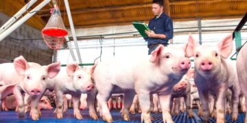 Paraguay se perfila como nuevo polo de proteína animal