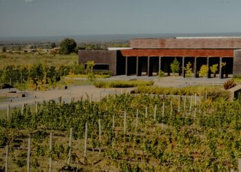Las polémicas de ‘Chiqui’ Tapia también llegan al agro: quién está detrás de la bodega vinculada con la AFA