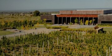 Las polémicas de ‘Chiqui’ Tapia también llegan al agro: quién está detrás de la bodega vinculada con la AFA