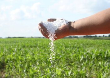 Deterioro: los fertilizantes están en fase alcista y ponen en jaque la rentabilidad de los cereales