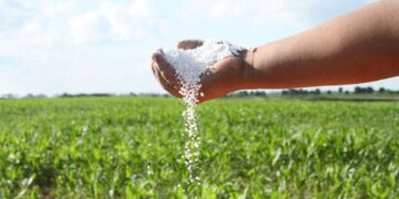 Deterioro: los fertilizantes están en fase alcista y ponen en jaque la rentabilidad de los cereales