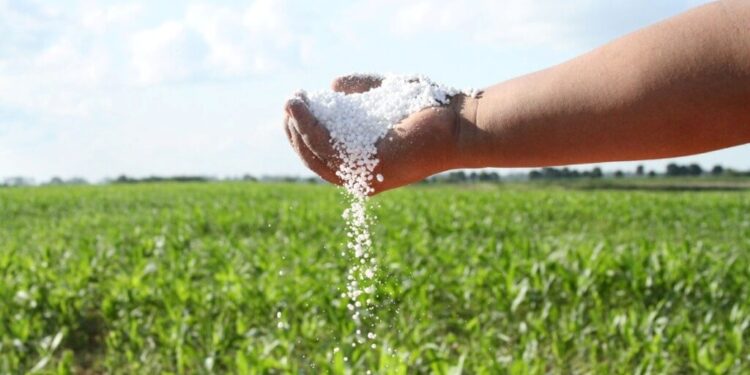 Deterioro: los fertilizantes están en fase alcista y ponen en jaque la rentabilidad de los cereales