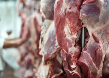 Exportaciones de carne: el año cerró con menos volumen y precios en recuperación