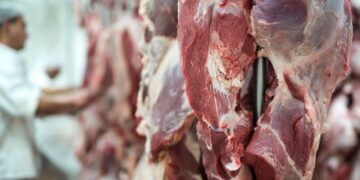 Exportaciones de carne: el año cerró con menos volumen y precios en recuperación