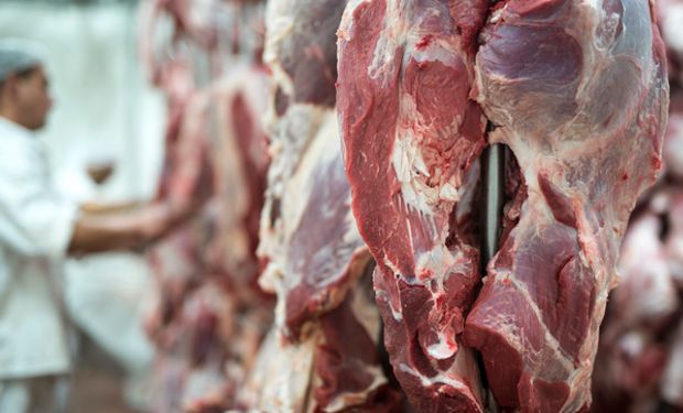 Exportaciones de carne: el año cerró con menos volumen y precios en recuperación