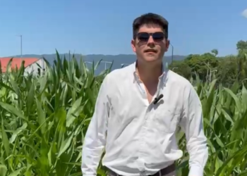 Congreso de Ecofisiología y Manejo Agronómico de Granos: el maíz del NOA frente a un nuevo escenario sanitario y productivo