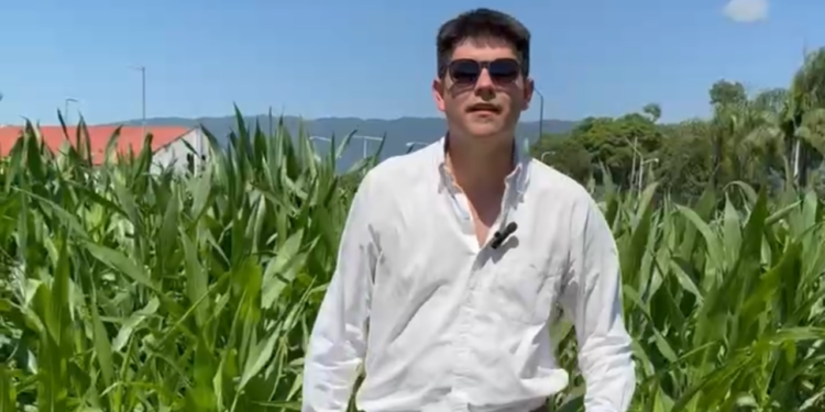 Congreso de Ecofisiología y Manejo Agronómico de Granos: el maíz del NOA frente a un nuevo escenario sanitario y productivo