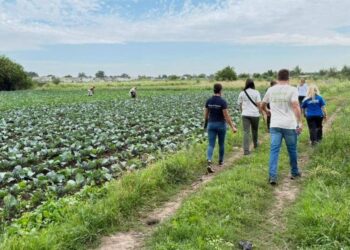 Un operativo del RENATRE arrojó altos porcentajes de trabajo rural no registrado en un cinturón frutihortícola