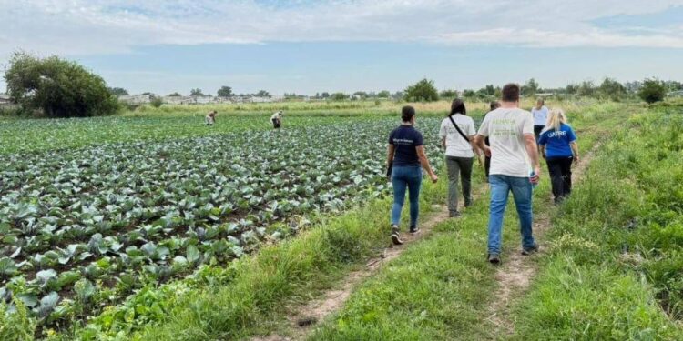 Un operativo del RENATRE arrojó altos porcentajes de trabajo rural no registrado en un cinturón frutihortícola