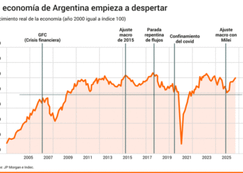 Economía agraria 2025: resultados, tensiones y perspectivas para 2026