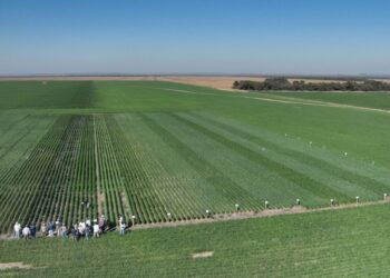 Un diciembre pasado por agua que renueva expectativas en el campo y proyecta un inicio de 2026 con señales alentadoras