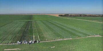 Un diciembre pasado por agua que renueva expectativas en el campo y proyecta un inicio de 2026 con señales alentadoras