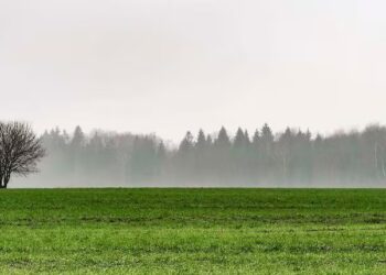 Diciembre llega con alivio hídrico y riesgos localizados: el análisis de Cristofer Brito sobre las lluvias que marcarán el inicio del verano en Tucumán