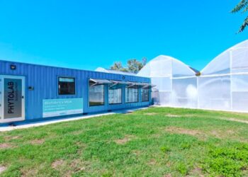 Miramar contará con su propio laboratorio especializado en la propagación de plantas de kiwi