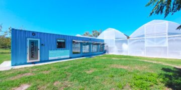 Miramar contará con su propio laboratorio especializado en la propagación de plantas de kiwi