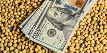 CERA presentó su Estrategia Nacional Exportadora y reclamó un cambio de enfoque