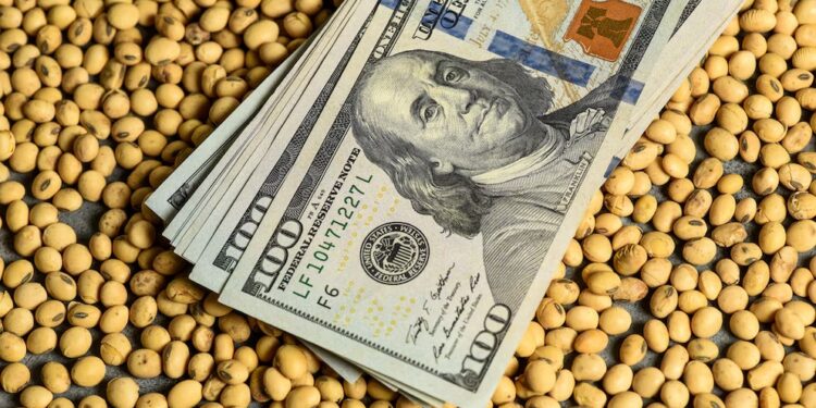 CERA presentó su Estrategia Nacional Exportadora y reclamó un cambio de enfoque