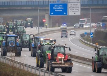 Europa sigue con “tractoradas” de productores, pero con nuevos reclamos: alertan por la fauna salvaje