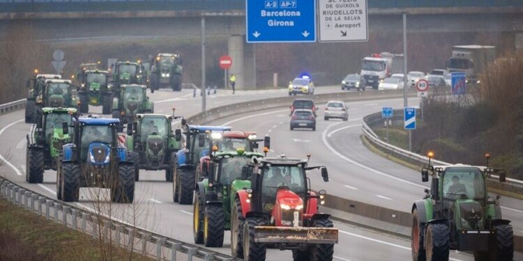 Europa sigue con “tractoradas” de productores, pero con nuevos reclamos: alertan por la fauna salvaje
