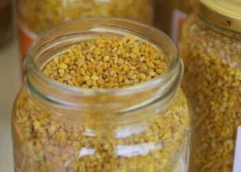 La apicultura, más allá de la miel: el polen toma fuerza para diversificar la producción
