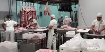Cuellos de botella del sector porcino entrerriano: infraestructura, mano de obra e impulso exportador