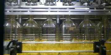 Creció un 138%: el boom de un cultivo que se volvió estrella en Argentina