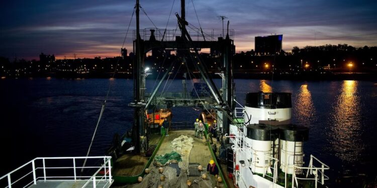 La actividad pesquera es uno de los rubros que más creció en 2025