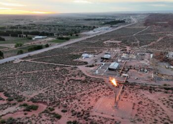 Energía y agro: dos motores que redefinen la oferta exportadora argentina