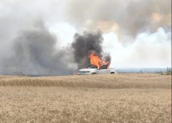 Alerta por el incendio de pick ups en rastrojo de trigo y cebada: por qué pasa y cómo evitarlo