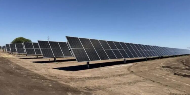 Cómo es el mayor parque solar fotovoltaico de Córdoba, el nuevo proyecto de Bugliotti