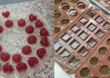 Gomitas de vino: el invento de estudiantes de Zonda que sorprendió a todos