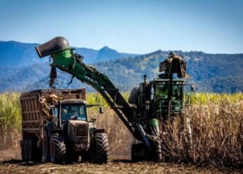 Para el inicio de la zafra 2026 se espera un escenario favorable para el sector