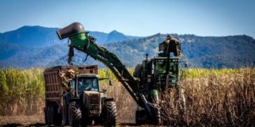 Para el inicio de la zafra 2026 se espera un escenario favorable para el sector