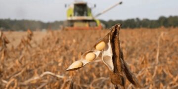 “Un buen mensaje para el productor”: el agro celebra la nueva rebaja de retenciones