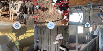 Ganadería en versión 2.0: la revolución silenciosa que empieza en la manga