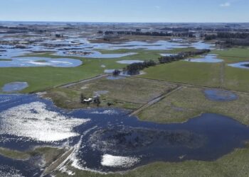 Inundaciones: se aprobó la emergencia nacional para regiones de 8 partidos de Buenos Aires