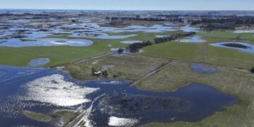 Inundaciones: se aprobó la emergencia nacional para regiones de 8 partidos de Buenos Aires