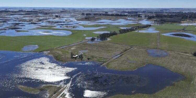 Inundaciones: se aprobó la emergencia nacional para regiones de 8 partidos de Buenos Aires