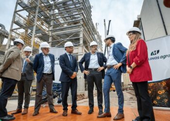 El rebrote del girasol también moviliza inversiones: U$S 12 millones para molienda a la vera del Paraná
