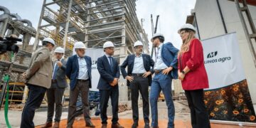 El rebrote del girasol también moviliza inversiones: U$S 12 millones para molienda a la vera del Paraná