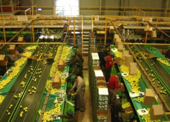 Citrus: analizaron aspectos de la planificación sanitaria y comercial del sector