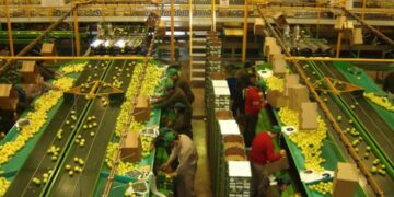 Citrus: analizaron aspectos de la planificación sanitaria y comercial del sector