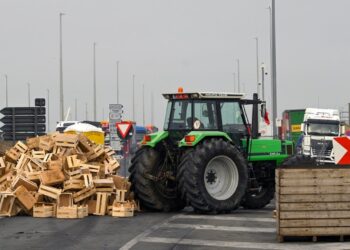 ¿Tambalea? Con fuertes acusaciones cruzadas, el Acuerdo Mercosur-UE atraviesa días críticos